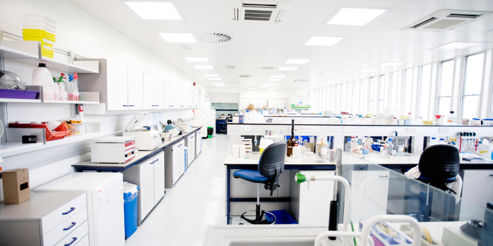 Pourquoi choisir des panneaux PVC hygiéniques pour votre usine ou laboratoire de protéines ?