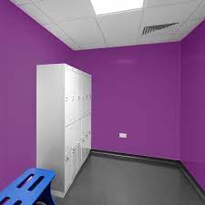 Revêtement mural prune, 2,5 mm, alliant performance hygiénique et esthétisme, facile à nettoyer et conçu pour résister aux conditions de forte humidité.